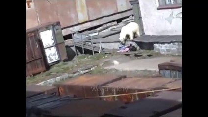 OMG !!! What the POLAR BEAR has done with this GIRL ???