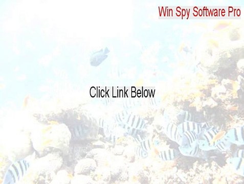 Win Spy Software Pro Download - Download Now (2015)