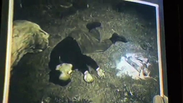 ­생­중­계­바­카­라­ブブ ＭＡＳ７７。Ｃ○Ｍ ずず­생­중­계­바­카­라­