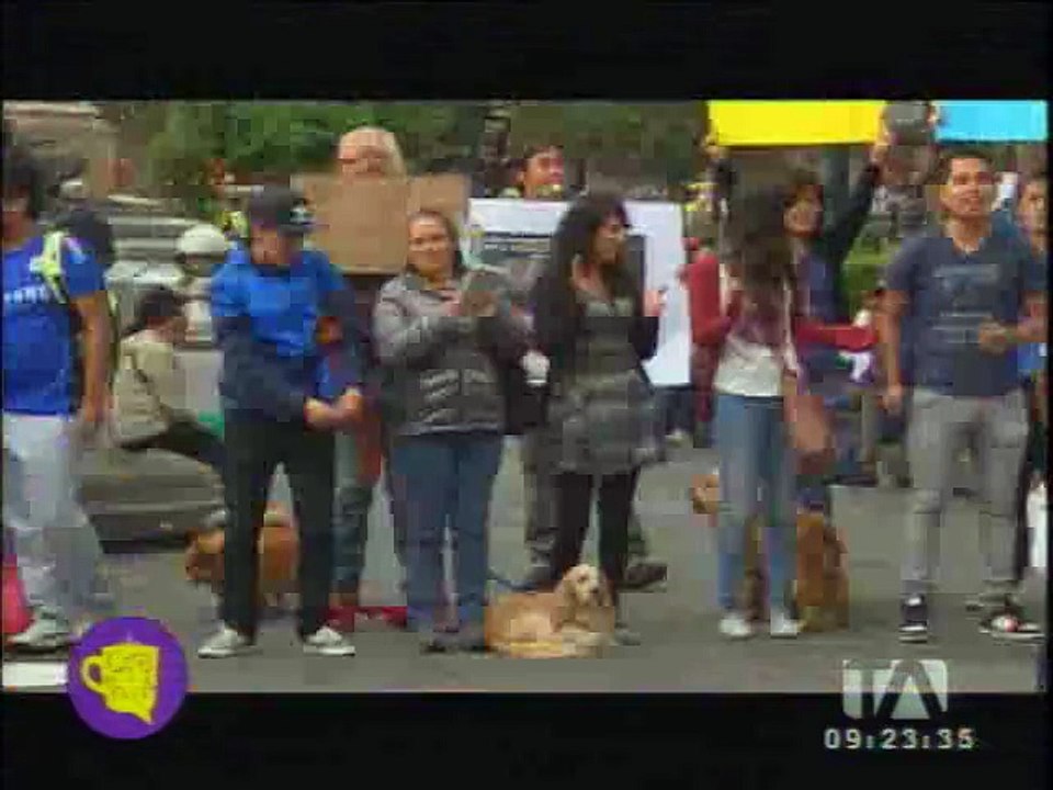 Marcha a favor de los derechos de los animales