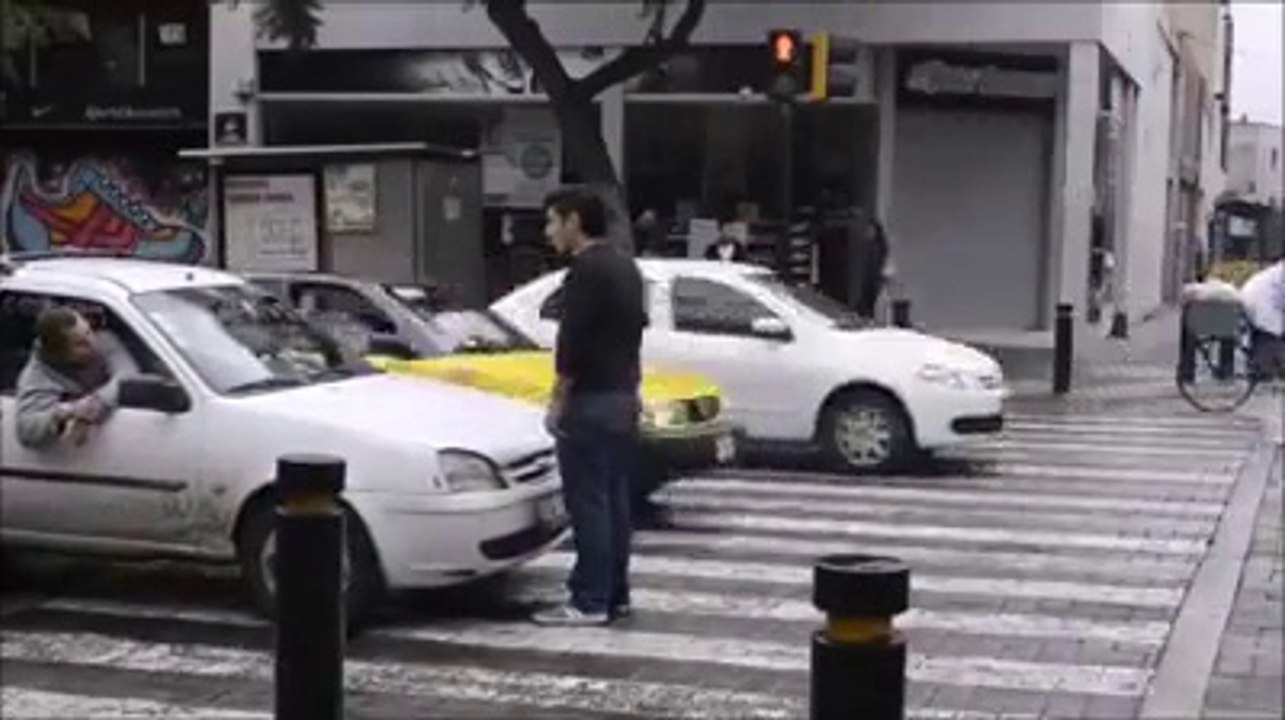 How brave this guy is!! Zebra Crossing
