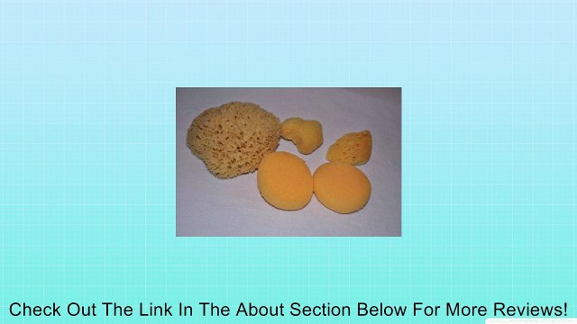 Arts & Crafts Painting Sponges Review