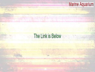 Marine Aquarium Cracked - Legit Download (2015)