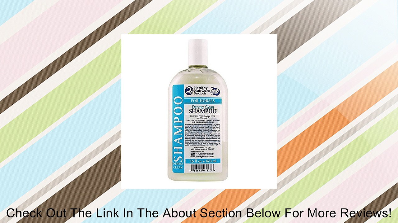 Derma Clean Shampoo - 16 ounce Review