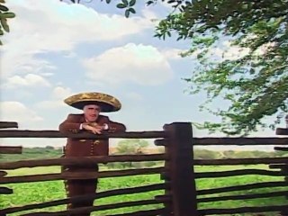 Vicente Fernandez - Necesito De Ti