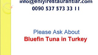 bluefin_tuna hunt,bluefin tuna Greenpeace,tuna fish,bluefin tuna price,bluefin tuna record,bluefin tuna endangered,pacific bluefin tuna yellowfin tuna,bluefin tuna nedir,