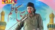 Alama Nasir Abbas Multan (Shaheed) | 30 March 2013 - Jalsa Bajarwala