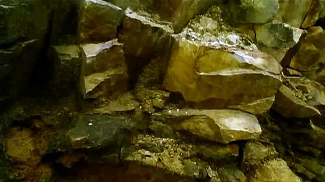 ­생­방­송­바­카­라­추­천­ // ＭＡＳ７７。Ｃ○Ｍ // ­인­터­넷­카­지­노­리­얼­