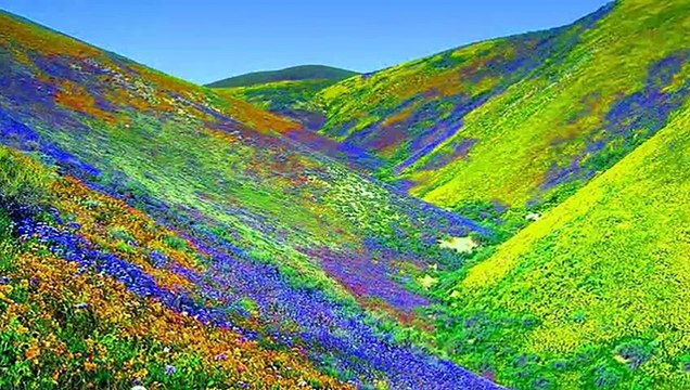 Valley of Flowers National Park - Uttarakhand