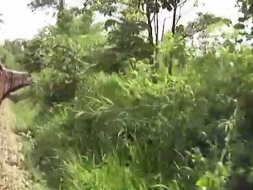 World's Most Dangerous Stretch of Railway