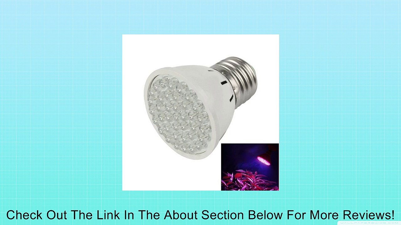 Niceroker Plant Grow Light Bulb E27 38led 2w Garden Hydroponic Lamp Review