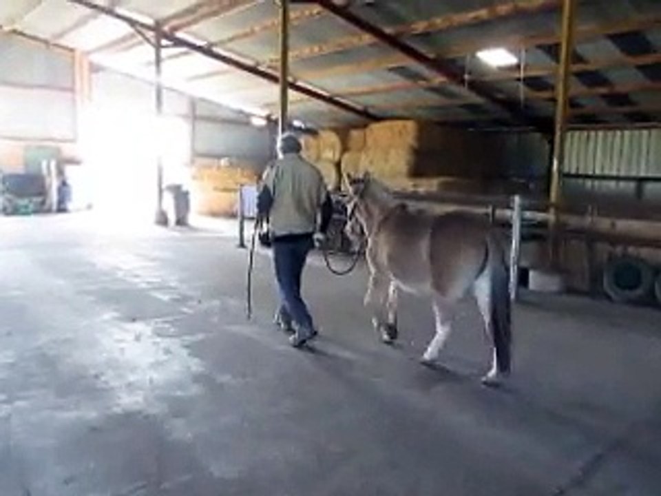 Première sortie en main depuis son arrivée.