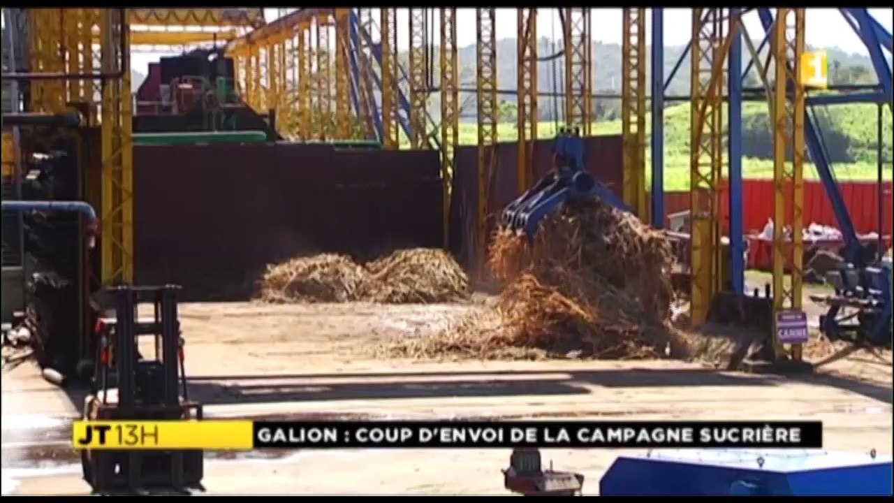 campagne-sucrière