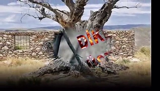 YÜRÜYORUM DİKENLERİN ÜSTÜNDE...DURAK YİĞİT-