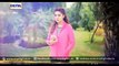 Mamta OST Title Song on Ary Digital
