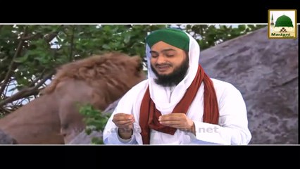 Sher Ko Khuwab Me Dekhna Kesa (1)