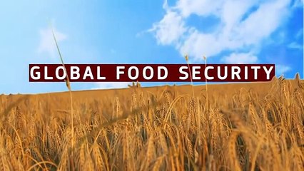 How can we increase agricultural outputs sustainably?