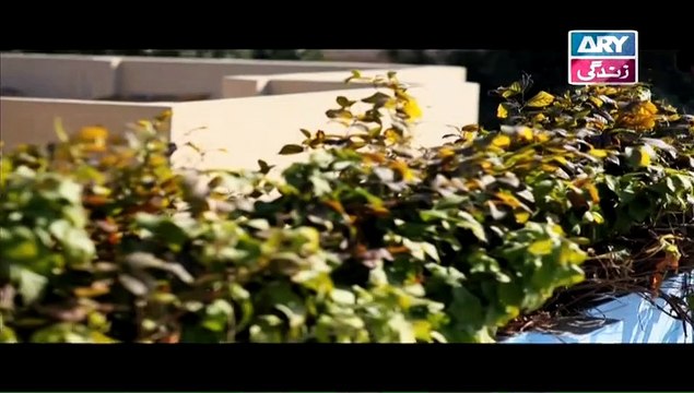 Rishtey Episode 186 On Ary Zindagi in High Quality 5th March 2015