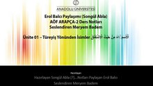 ARA1002 ARAPÇA II 1. Ünite ErolBalcı Ders Notları Türeyiş Yönünden İsimler