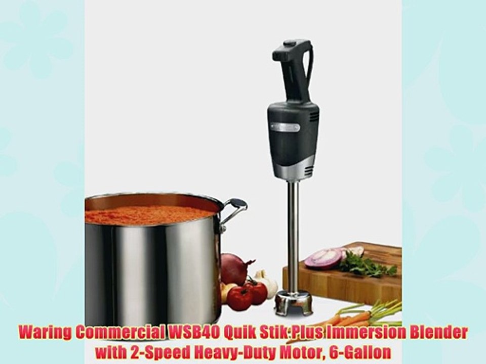 Waring Commercial WSB40 Quik Stik Plus Immersion Blender with 2-Speed Heavy-Duty Motor 6-Gallon