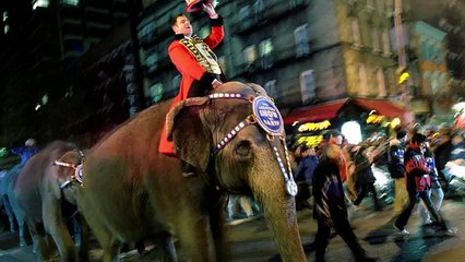 Ringling Bros. Is Finally Ending Its Elephant Act