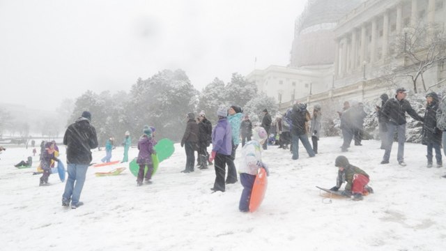 'Sled free or die': D.C. residents take the Hill
