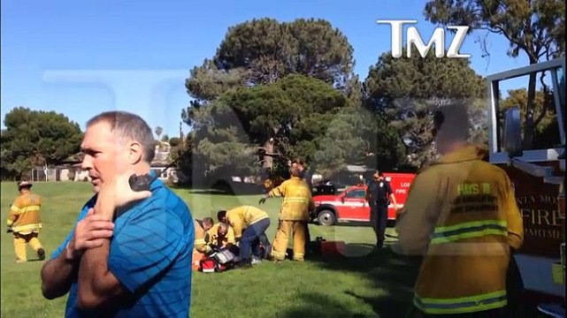 Harrison Ford Plane Crashes Actor Seriously Injured