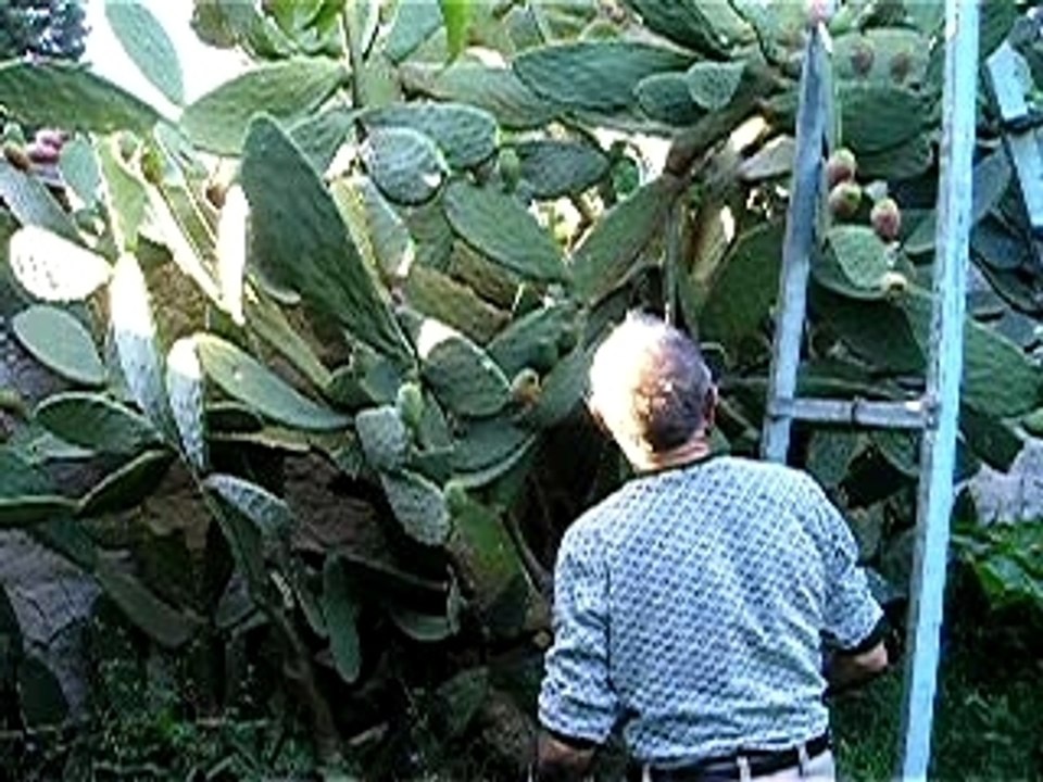 Argentina 2007 075