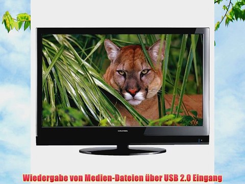 Grundig 32 VLC 6110 C 81 cm (32 Zoll) LCD-Fernseher (Full-HD 100Hz PPR DVB-T/C CI ) schwarz