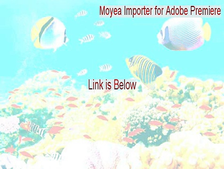 Moyea Importer for Adobe Premiere Full Download [Instant Download]