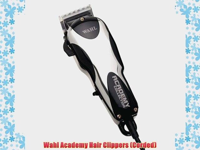 wahl academy