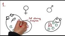 Best Weight loss tips - Weight loss tips - Fat loss factor.  Review