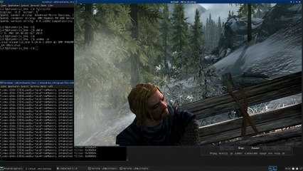 Arch Linux : Skyrim fglrx (catalyst-total) [wine]