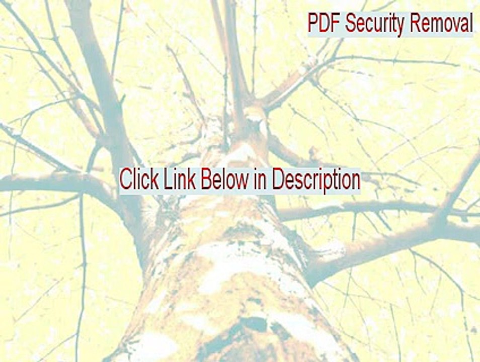 PDF Security Removal Keygen [Download Here]