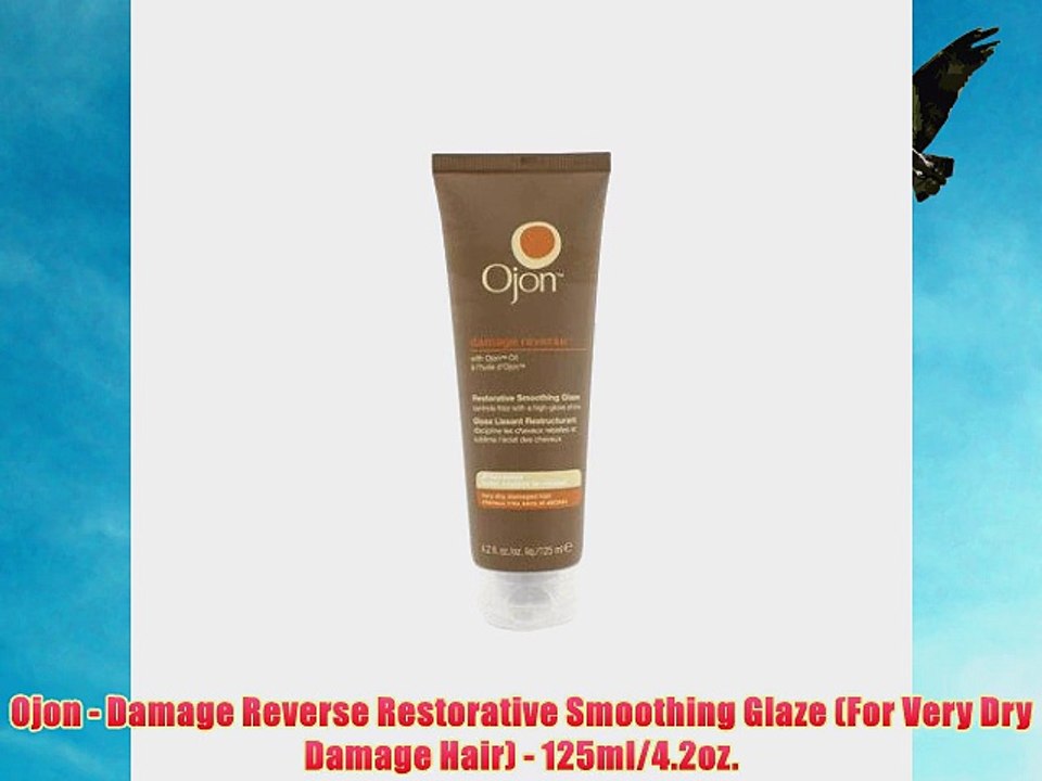 Damage Reverse Restorative Smoothing Glaze (For Very Dry Damage Hair) 125ml/4.2oz