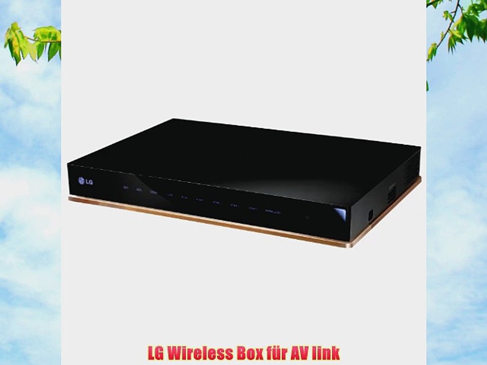 LG Wireless Box f?r AV link