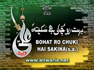 FARHAN ALI WARIS 2010 - VOL 13 - BOHAT RO CHUKI HAI SAKINA -ira