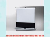 celexon Leinwand Mobil Professional 160 x 160 cm