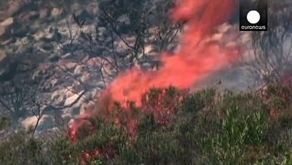 Afrique du sud : incendie sous contrôle