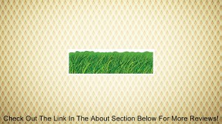 Carson Dellosa Grass Borders (110072) Review