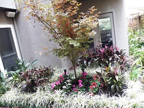 A Plus Landscaping Texas Call 832-731-0830