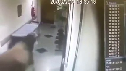 OMG !!! Bull entered in Hospital