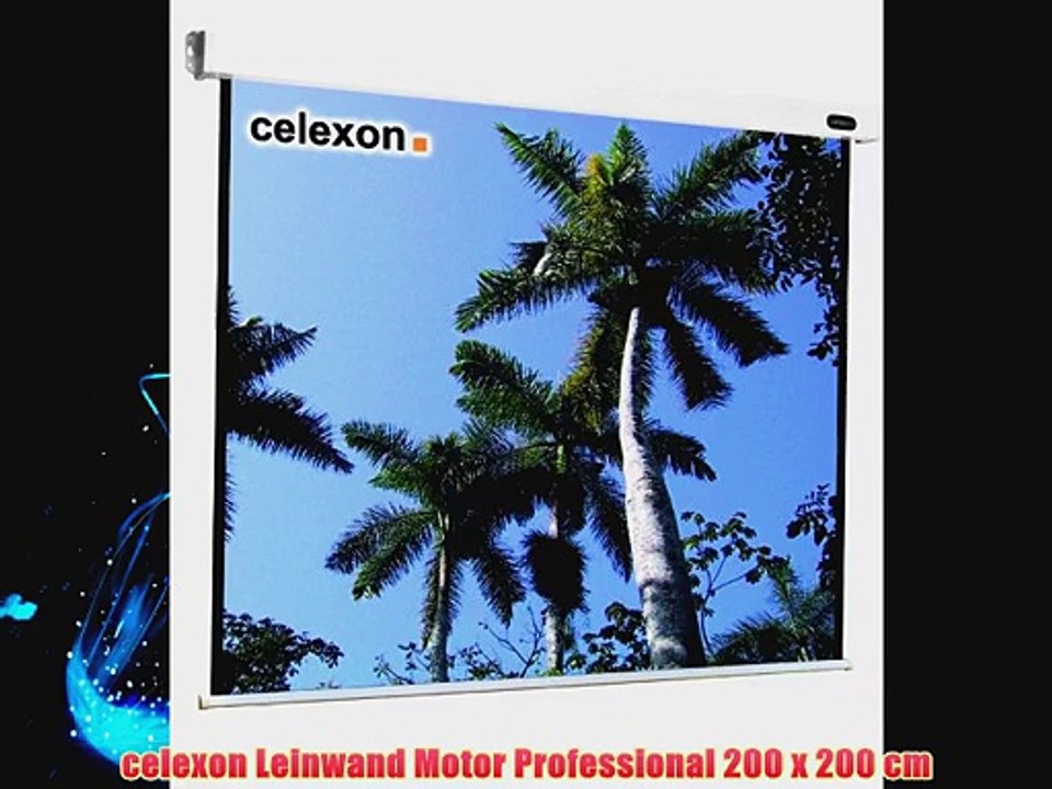 celexon Leinwand Motor Professional 200 x 200 cm