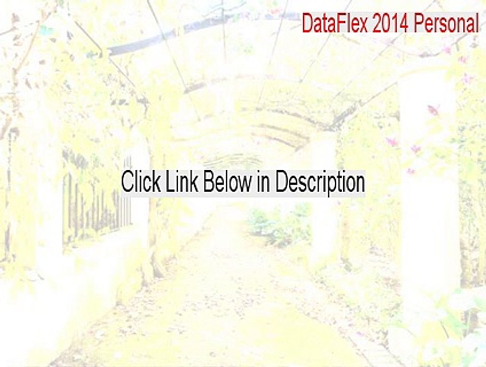 DataFlex 2014 Personal Cracked [Free Download]