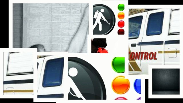 Express Pest Control (347) 453-0174