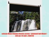 celexon Home Cinema electric screen - Leinwand (mit Motor) - 230 cm ( 91 Zoll ) 1090119