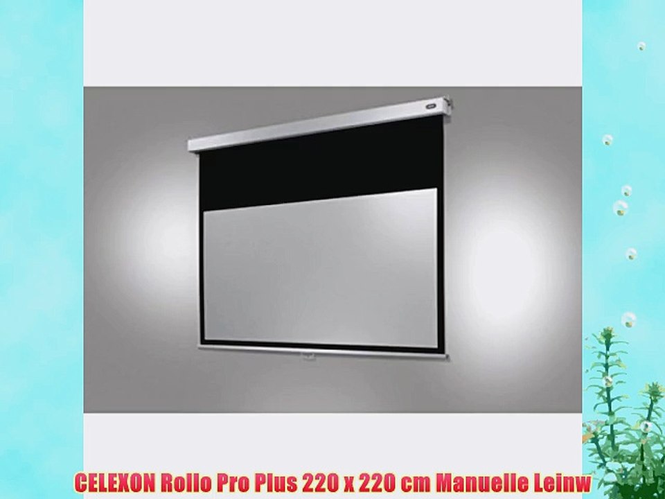 CELEXON Rollo Pro Plus 220 x 220 cm Manuelle Leinw
