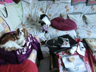 Juliane et Helliot jouent avec le nouveau jouet kong