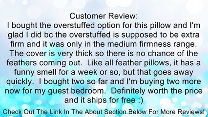 Tommy Hilfiger Varsity Feather Pillow White Jumbo-Extra Firm Density Support Review