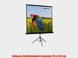 Celexon Stativleinwand Economy 219 x 219 cm